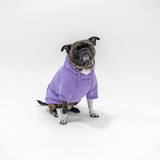 Essential Hoodie (Violet)