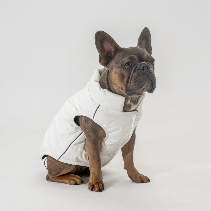 Dog Vest (White)