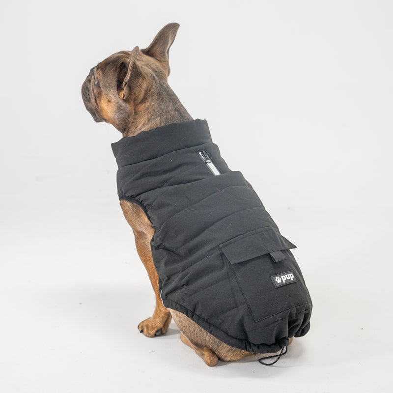 Dog Vest (Black)