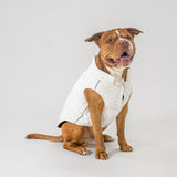 Dog Vest (White)