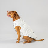 Dog Vest (White)