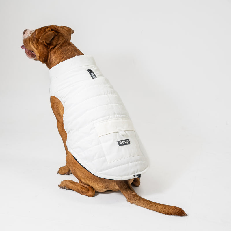 Dog Vest (White)