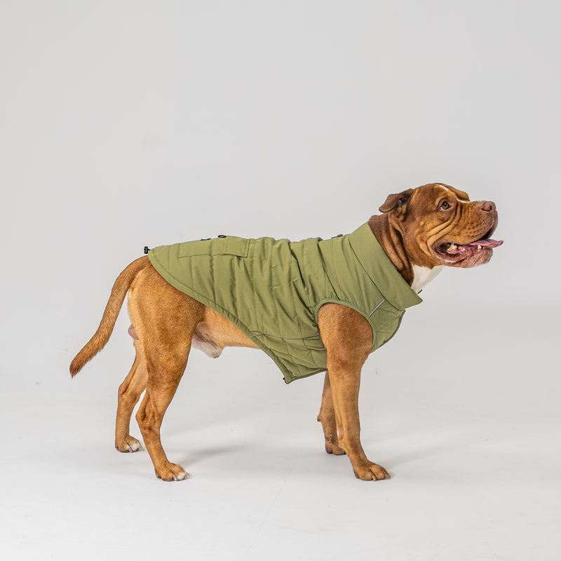 Dog Vest (Green)