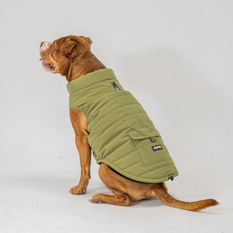 Dog Vest (Green)