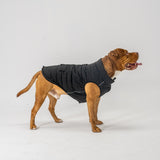 Dog Vest (Black)