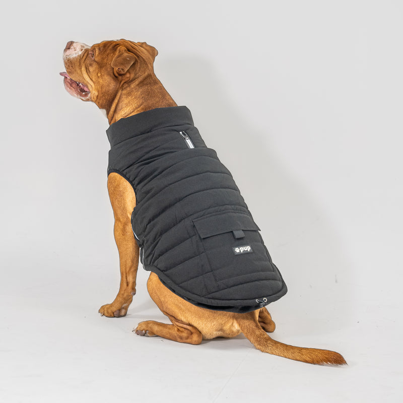 Dog Vest (Black)