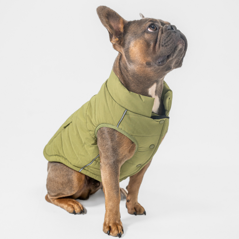 Dog Vest (Green)