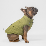 Dog Vest (Green)