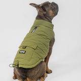 Dog Vest (Green)