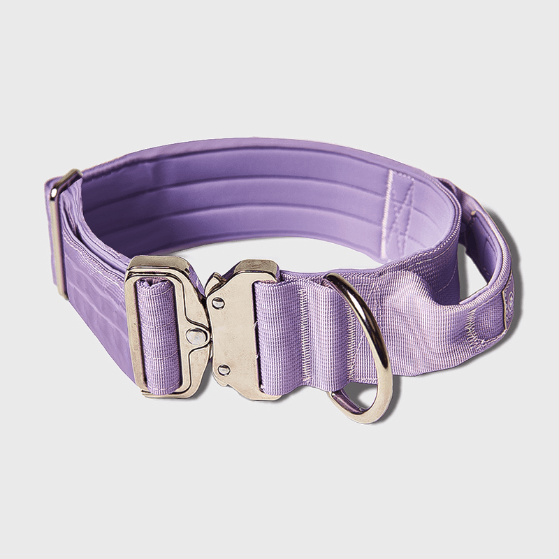 Purple tactical hot sale dog collar