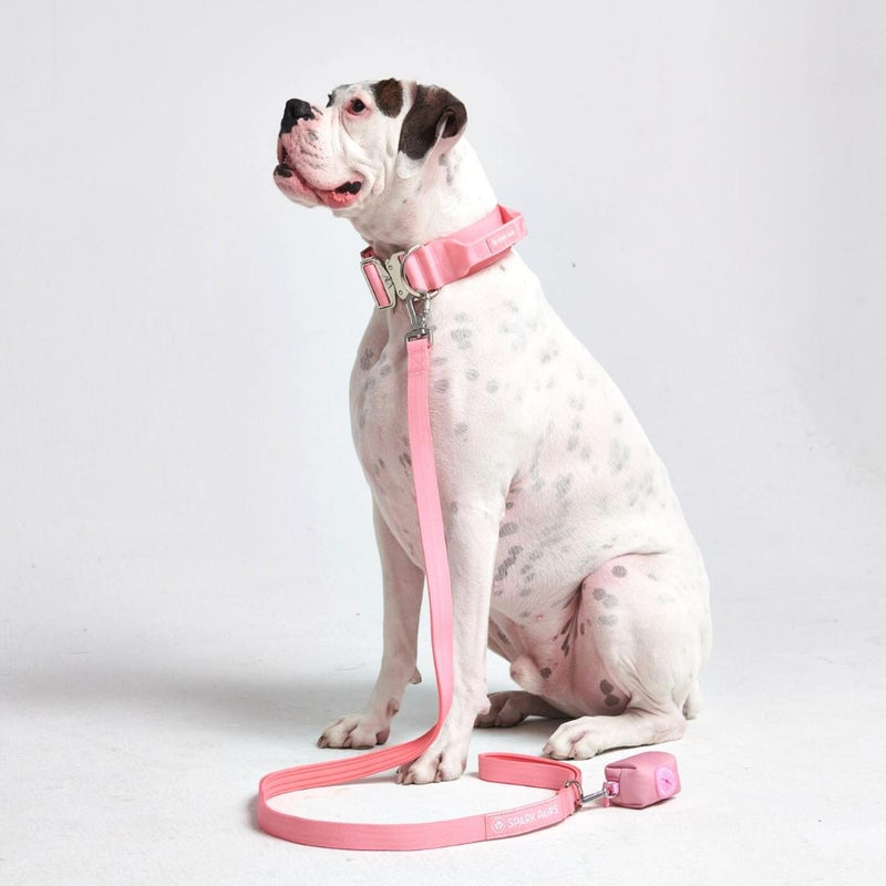 OUT OF STOCK!! COLLAR, HARNESS & LEASH PINK