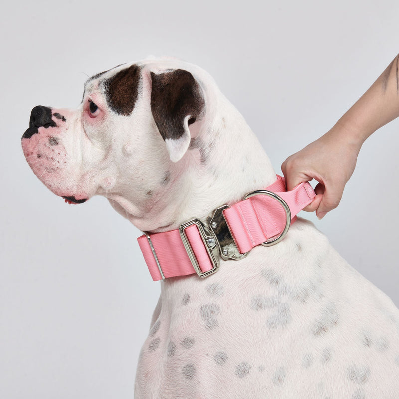 Comfort Control Dog Collars – SPARK PAWS