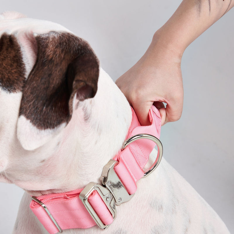 Tactical Dog Collars – SPARK PAWS
