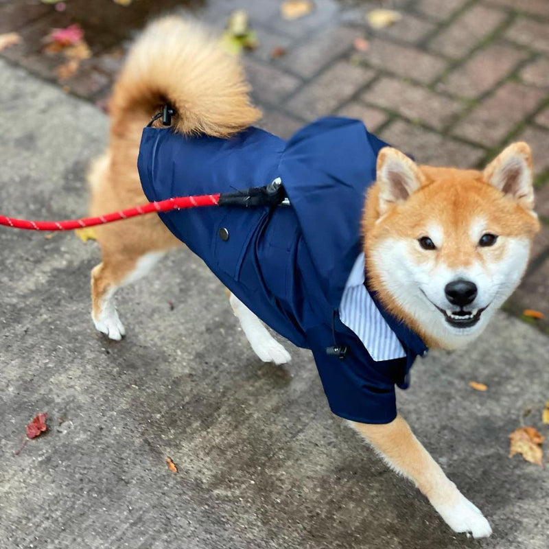 Classic Rain Coat (Blue)