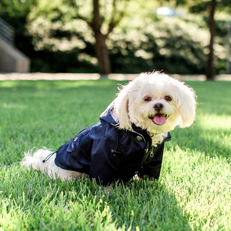 Classic Rain Coat (Blue)