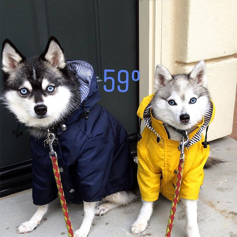 Classic Rain Coat (Blue)